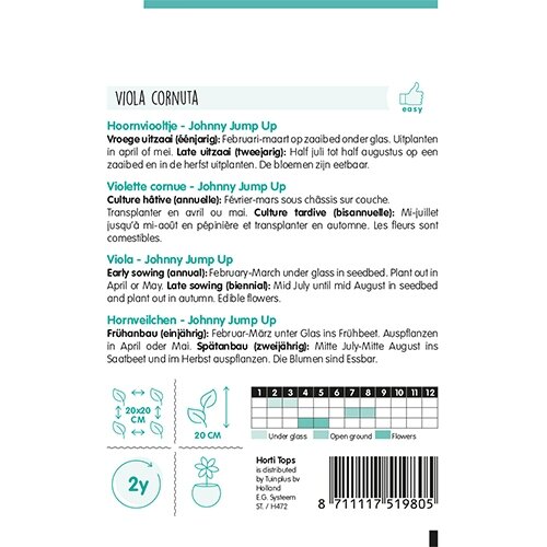 Horti Tops Viola, Hoornviooltje Johnny Jump Up - afbeelding 2