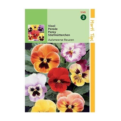 Horti Tops Viola Tric. Max. Aalsmeerse Reuzen - afbeelding 1