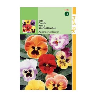 Horti Tops Viola Tric. Max. Aalsmeerse Reuzen - afbeelding 1