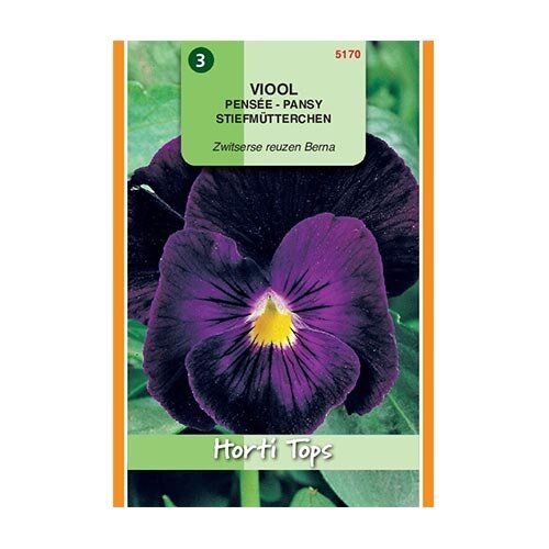 Horti Tops Viola Tric.Max. Zwitserse Reuzen Berna - afbeelding 1