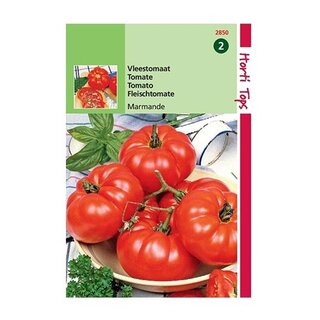 Horti Tops  Vleestomaat Marmande - afbeelding 1