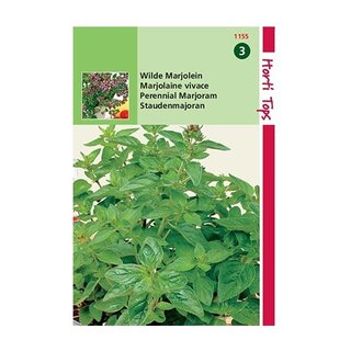 Horti Tops Wilde Marjolein (Oregano) - afbeelding 1