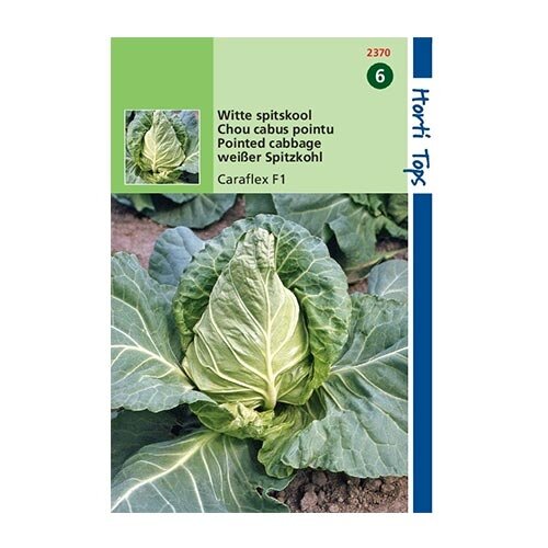 Horti Tops Wittekool Caraflex - afbeelding 1