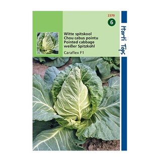 Horti Tops Wittekool Caraflex - afbeelding 1