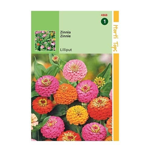 Horti Tops Zinnia Liliput/Pompon dubbelbloemig - afbeelding 1