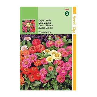 Horti Tops Zinnia Thumbelina - afbeelding 1