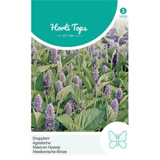 Horti Tops Agastache, Dropplant (mexicana) - afbeelding 1
