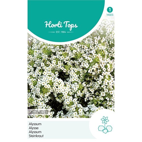 Horti Tops Alyssum Sneeuwkleed - afbeelding 1