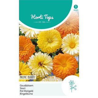 Horti Tops Calendula, Goudsbloem Pacific Beauty gemengd - afbeelding 1