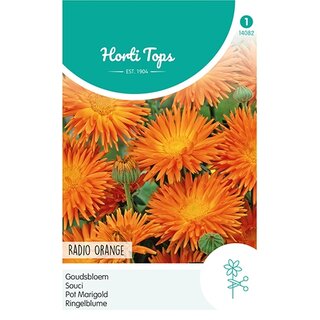 Horti Tops Calendula, Goudsbloem Radio Orange - afbeelding 1