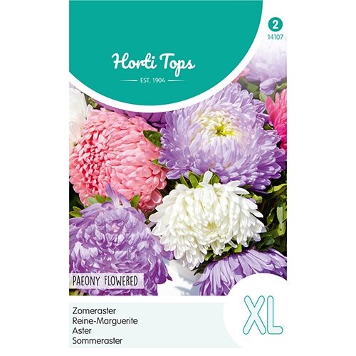 Horti Tops Callistephus, Zomeraster pioenbloemig gemengd - afbeelding 1