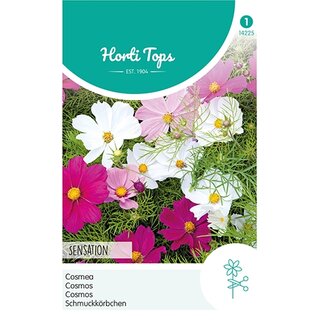 Horti Tops Cosmos, Cosmea Sensation gemengd - afbeelding 1