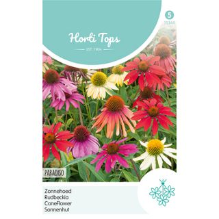 Horti Tops Echinacea, Zonnehoed Paradiso - afbeelding 1