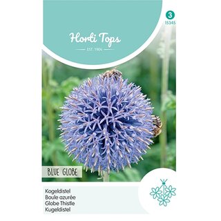 Horti Tops Echinops, Kogeldistel Blue Globe - afbeelding 1