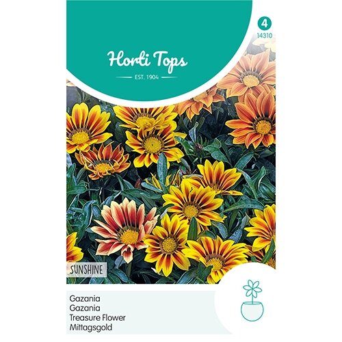 Horti Tops Gazania Sunshine gemengd - afbeelding 1