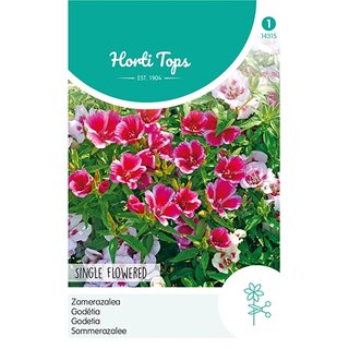 Horti Tops Godetia, Zomerazalea enkelbloemig gemengd - afbeelding 1