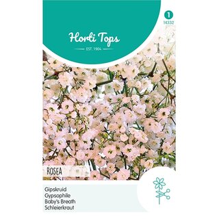 Horti Tops Gypsophila, Gipskruid Elegans Roze - afbeelding 1