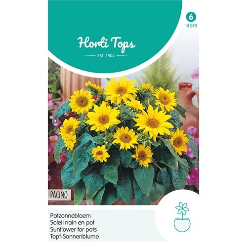 Horti Tops Helianthus, Potzonnebloem Pacino - afbeelding 1