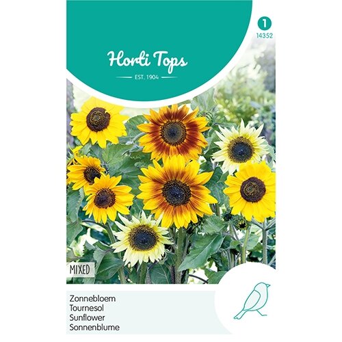 Horti Tops Helianthus, Zonnebloem gemengd - afbeelding 1