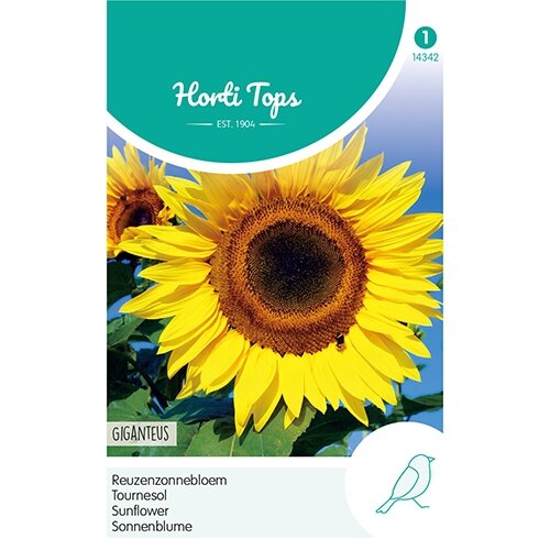 Horti Tops Helianthus, Zonnebloem Giganteus - afbeelding 1