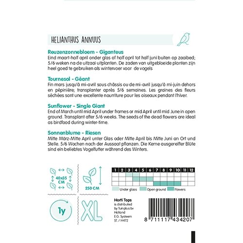 Horti Tops Helianthus, Zonnebloem Giganteus - afbeelding 2