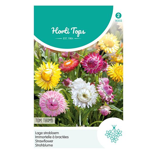 Horti Tops Helichrysum, lage Strobloem Tom Thumb - afbeelding 1