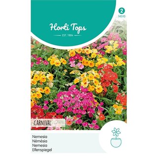 Horti Tops Nemesia Carnaval gemengd - afbeelding 1