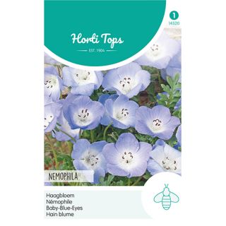 Horti Tops Nemophila, Haagbloem Hemelsblauw - afbeelding 1
