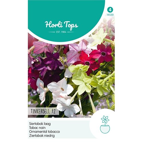 Horti Tops Nicotiana, Siertabak Tinkerbell F2 gemengd - afbeelding 1