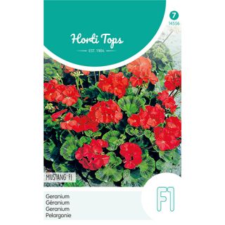 Horti Tops Pelargonium, Geranium Mustang F1 rood - afbeelding 1