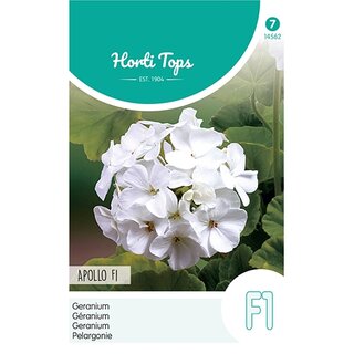 Horti Tops Pelargonium, Geranium Apollo Wit F1 - afbeelding 1