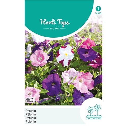 Horti Tops Petunia laag gemengd - afbeelding 1