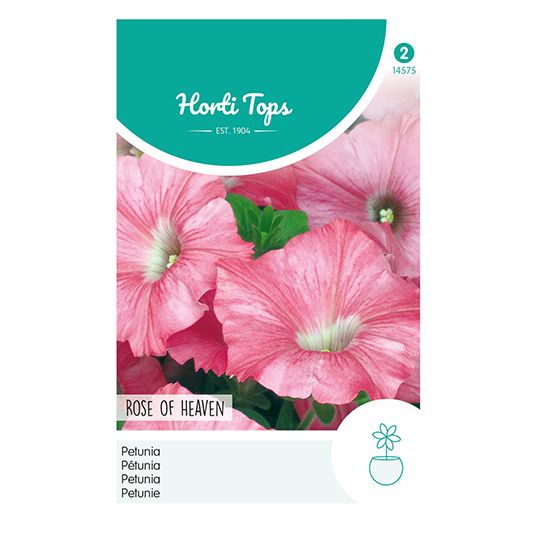 Horti Tops Petunia Rose of Heaven - afbeelding 1