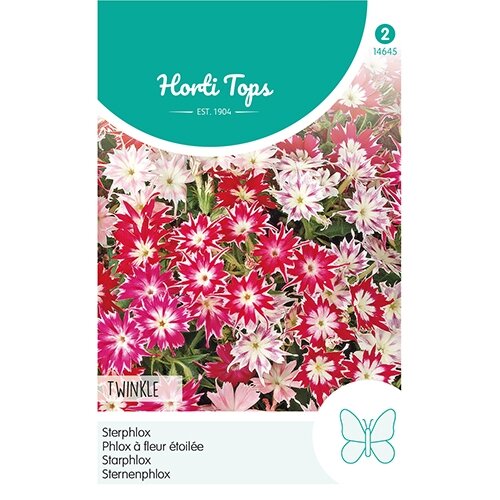 Horti Tops Phlox, Sterphlox Twinkle gemengd - afbeelding 1