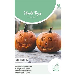 Horti Tops Pompoen Jack O'Lantern (Cucurbita Pepo) - afbeelding 1