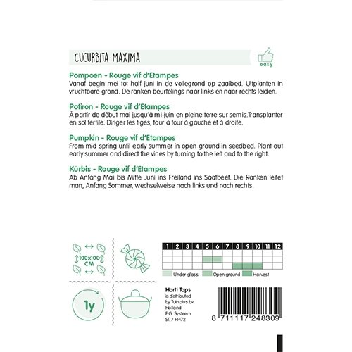 Horti Tops Pompoenen Rouge vif d' Etampes - afbeelding 2
