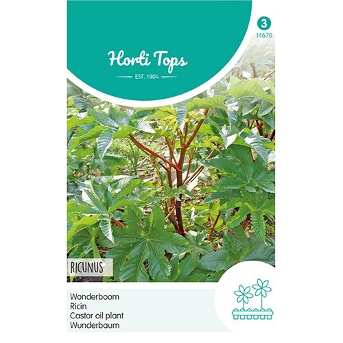 Horti Tops Ricinus, Wonderboom - afbeelding 1