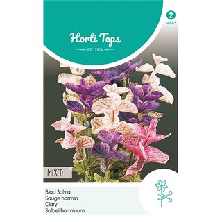 Horti Tops Salvia, Bladsalvia gemengd - afbeelding 1