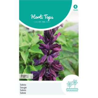 Horti Tops Salvia, Purple - afbeelding 1