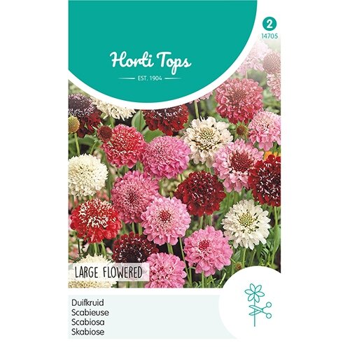 Horti Tops Scabiosa, Duifkruid gemengd - afbeelding 1