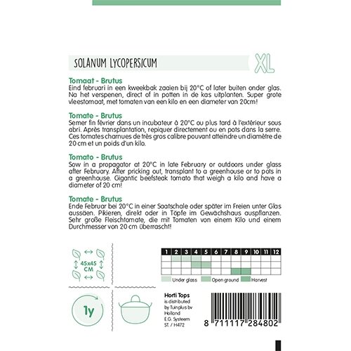 Horti Tops Tomaat Brutus - afbeelding 2