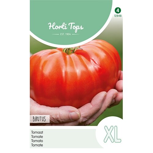 Horti Tops Tomaat Brutus - afbeelding 1