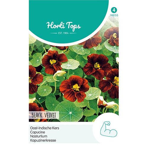 Horti Tops Tropaeolum, Oost-Indische Kers Black Velvet - afbeelding 1