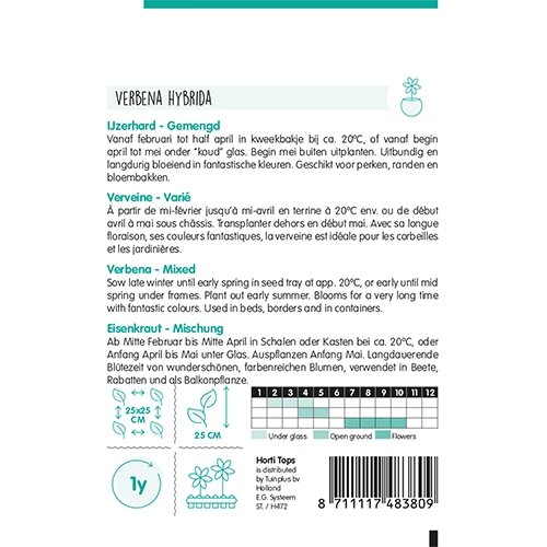 Horti Tops Verbena, IJzerhard gemengd - afbeelding 2