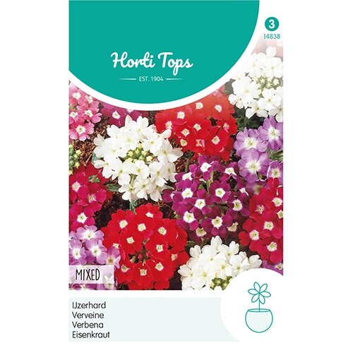 Horti Tops Verbena, IJzerhard gemengd - afbeelding 1