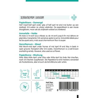 Horti Tops Xeranthemum, Papierbloem gemengd - afbeelding 2