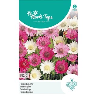 Horti Tops Xeranthemum, Papierbloem gemengd