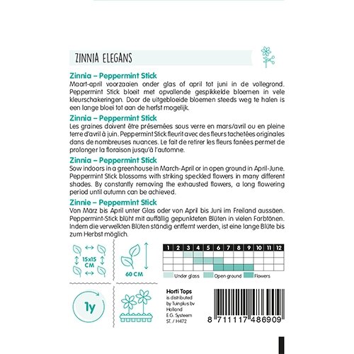 Horti Tops Zinnia Peppermint Stick - afbeelding 2