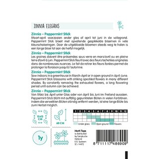 Horti Tops Zinnia Peppermint Stick - afbeelding 2