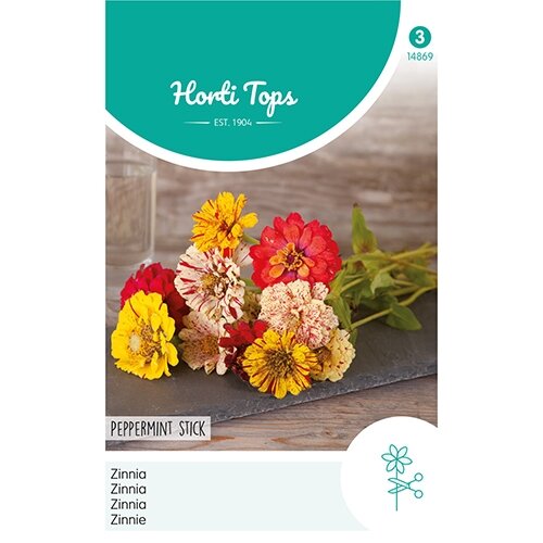 Horti Tops Zinnia Peppermint Stick - afbeelding 1
